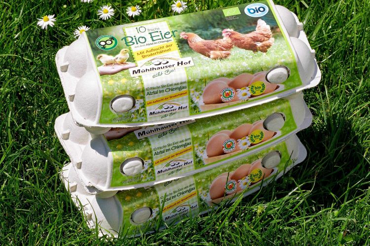 10er Verpackung Eier aus Biohaltung