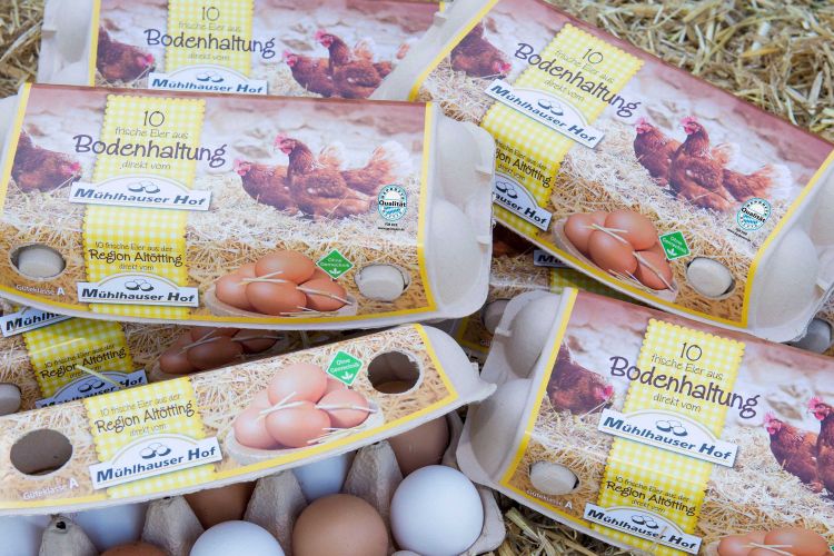 10er Verpackung Eier aus Bodenhaltung